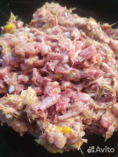 Фарш из суточных цыплят