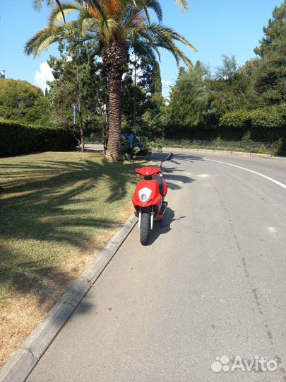 Omaks 50