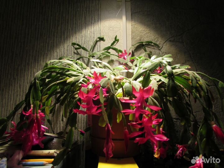 Светильник яркого освещения настенный