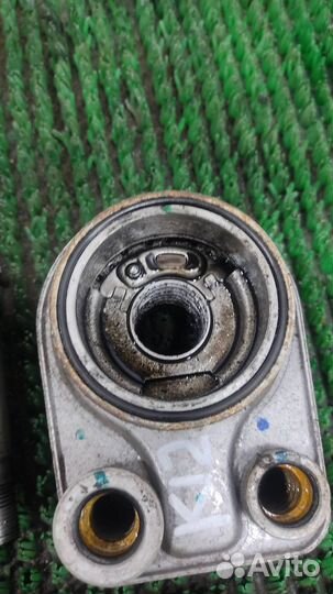 Маслоохладитель Renault Duster 2017