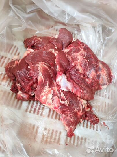 Продам мясо конина