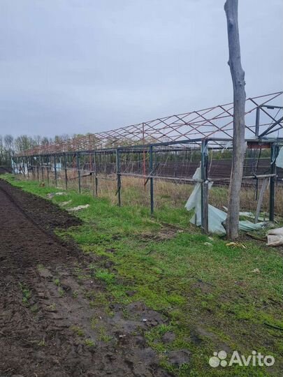 Теплица металлическая