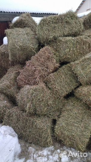 Сено в брикетах