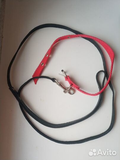 Ошейник с поводком для кошек и малеких собак