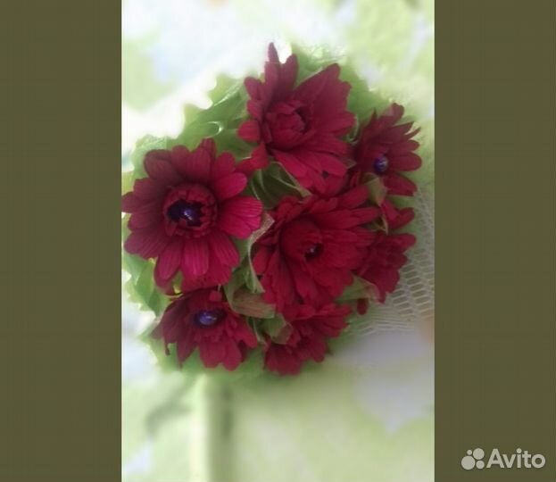 Сладкие герберы