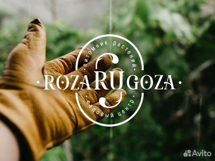 Разработка логотипа / Создание бренда