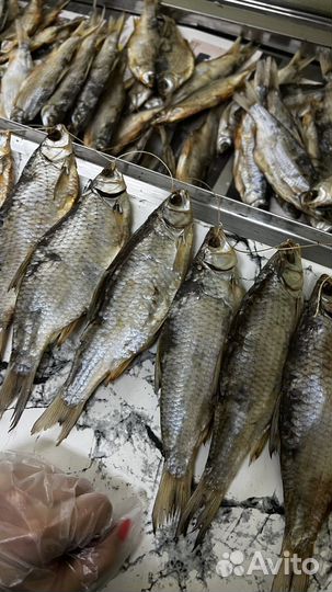 Тарань вяленая азовская