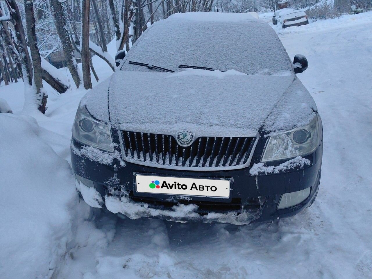 Skoda Octavia: фото владельца
