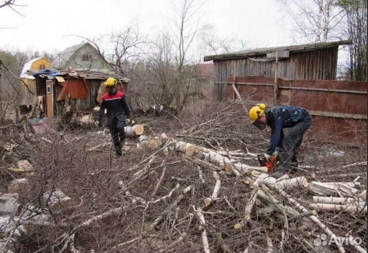 Расчистка участка, уборка территории