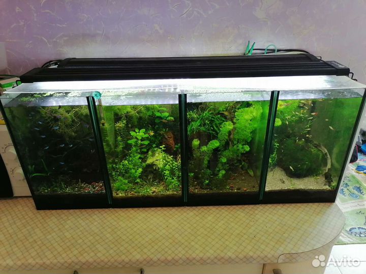 Аквариумы от 5л до 100л б/у