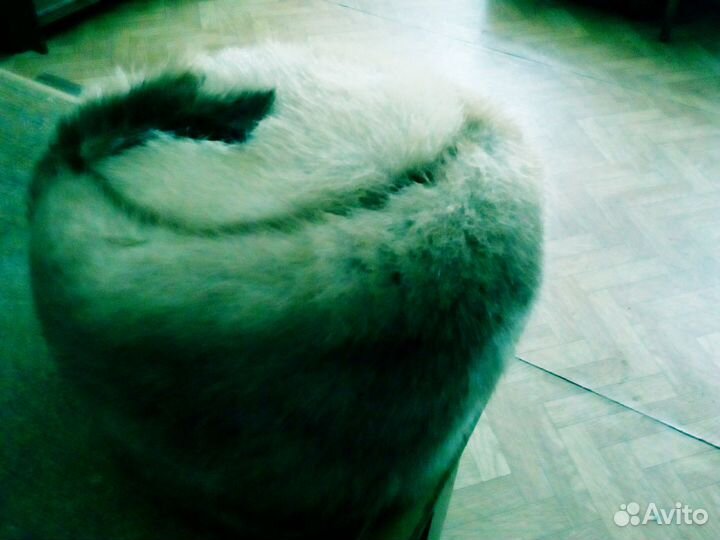 Женская шапка