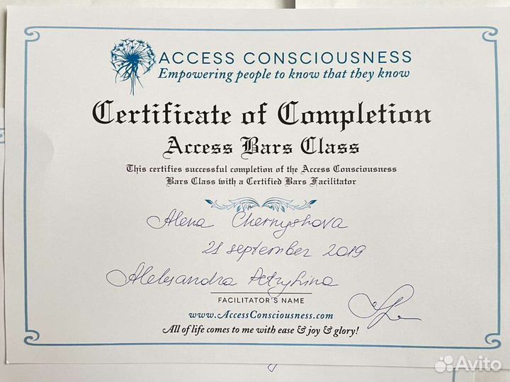 Аксесс барс Access Bars