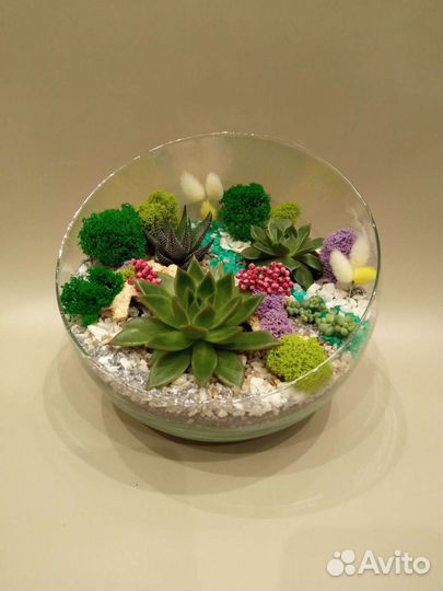 Флорариум. Суккуленты. Ижевск