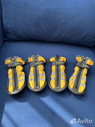 Обувь для собак