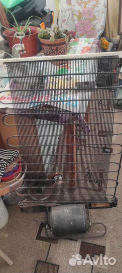 Двигатель для холодильника