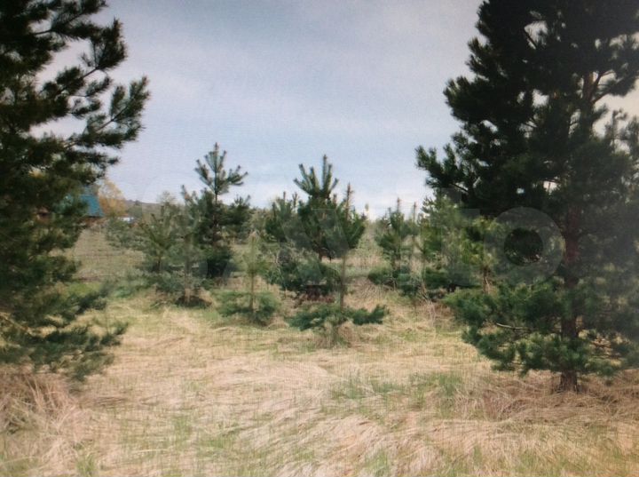 Участок 12 сот. (ИЖС)