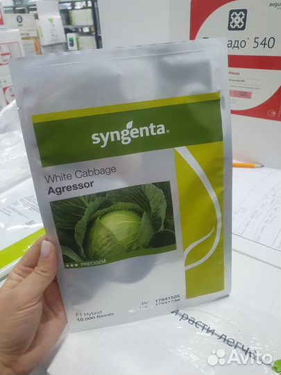 Семена капусты Агрессор 10 000с Сингента