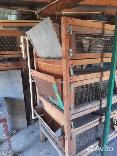 Клетка для кроликов