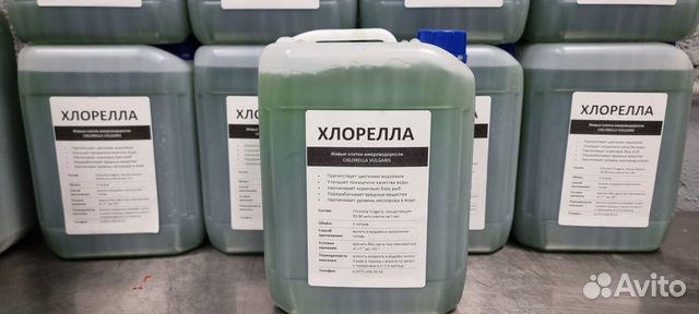 Хлорелла для очистки водоемов