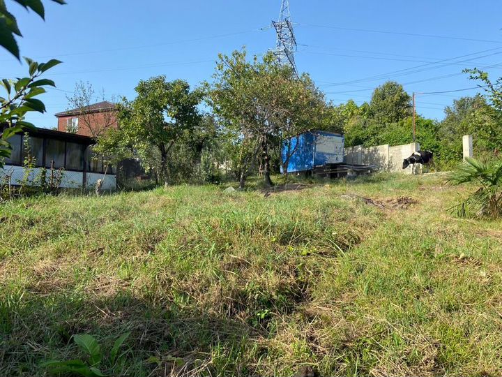 Участок 4,2 сот. (СНТ, ДНП)