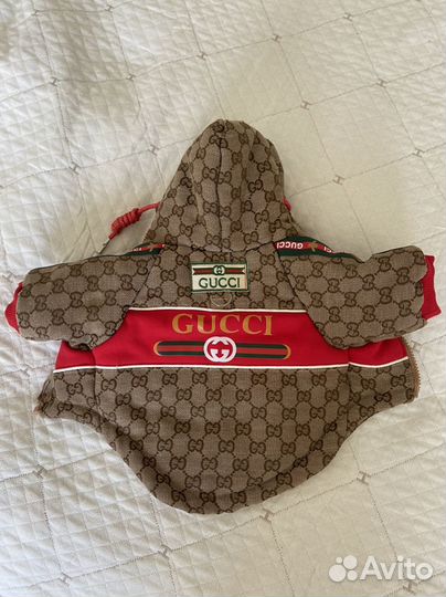 Одежда для собак мелких пород