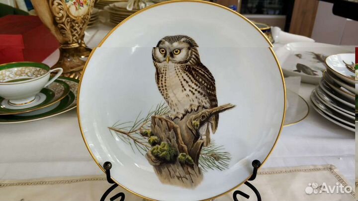 Коллекционная тарелка Бореальная сова Furstenberg
