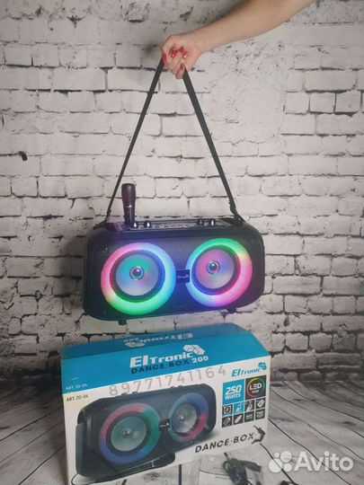 Колонка Eltronic 20-04