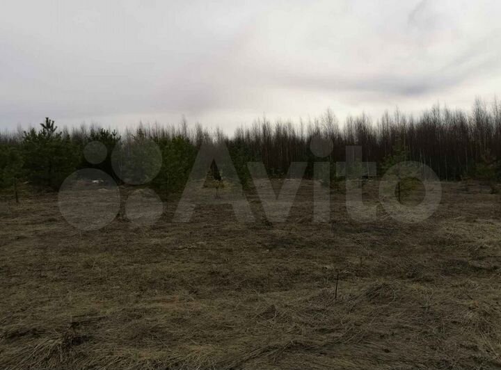 Участок 1,65 га (ИЖС)