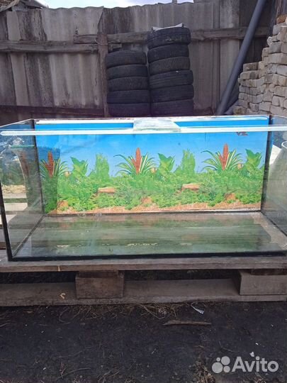 Аквариум
