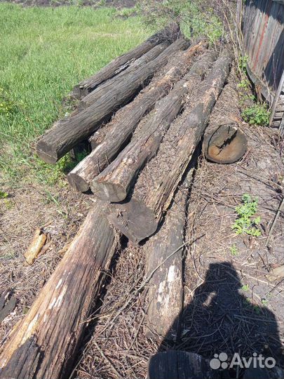 Бревна дубовые