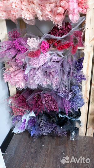 Сухоцветы, опт, стабилизированные цветы