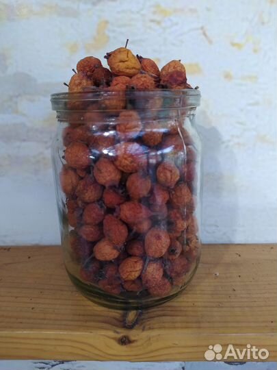 Боярышник, скрещенный с шиповником