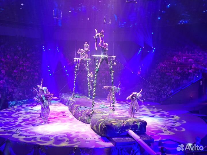 Билеты в Цирк на проспекте Вернадского 25.11.23