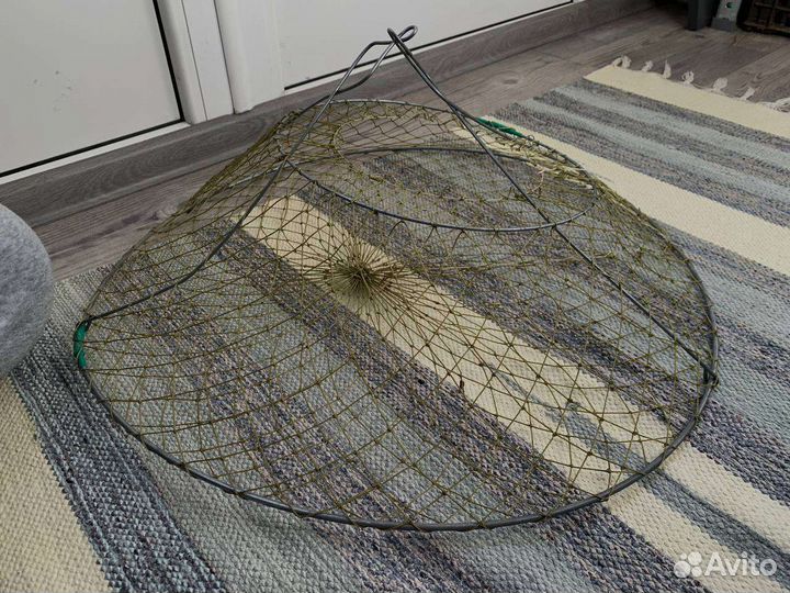 Раколовка уловистая