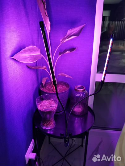 Фитолампа мветильник для растений новый