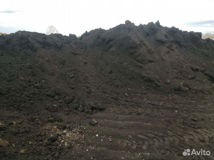 Земля чернозем