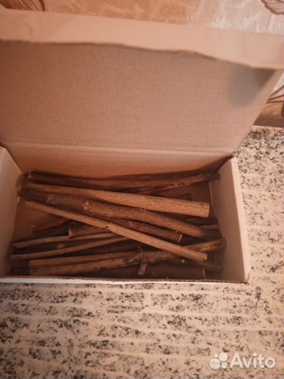 Палки разных деревьев для погрызки грызунов