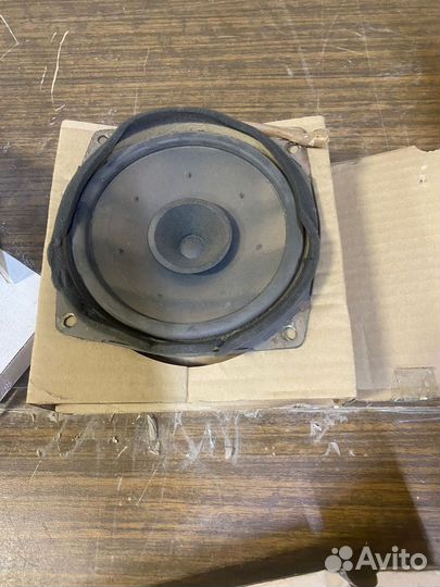 Focal auditor rcx 165