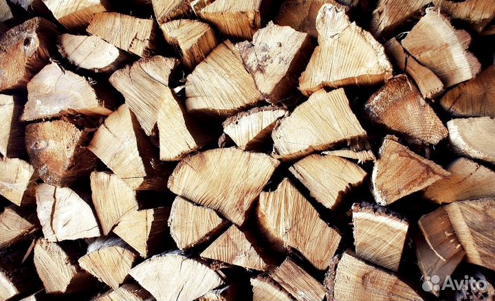 Дрова дубовые от 5м3