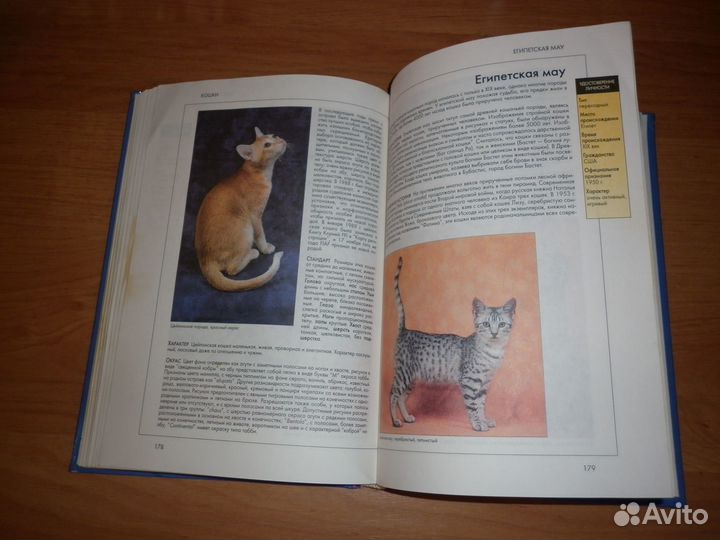 Кошки - справочник 2001 г. (Капра, Роботти)