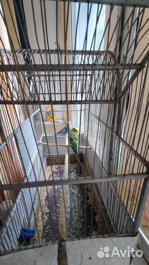 Клетка для волнистого попугая