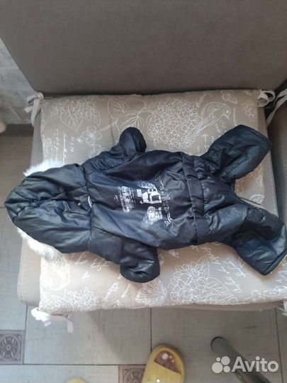 Одежда для собак мелких пород осень -зима