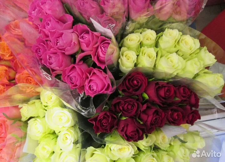 Розы оптом