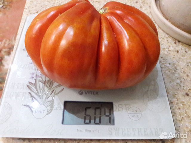 Семена коллекционных томатов ч.1