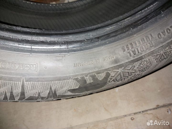 Gislaved NordFrost 100 205/55 R16