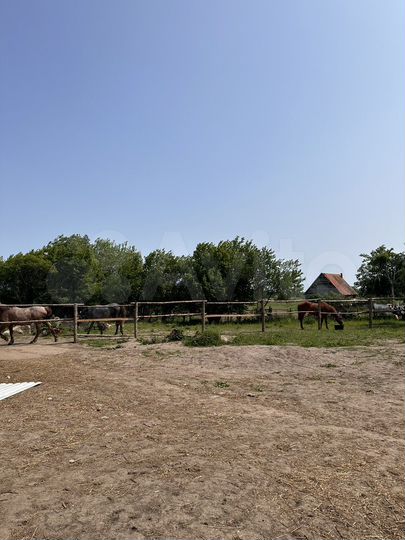 Дом 44 м² на участке 1,05 га