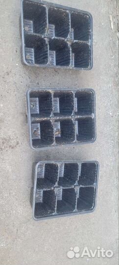 Кассета для рассады