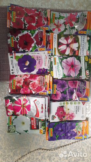 Семена томат, перец, огурец, петуния, циния и др