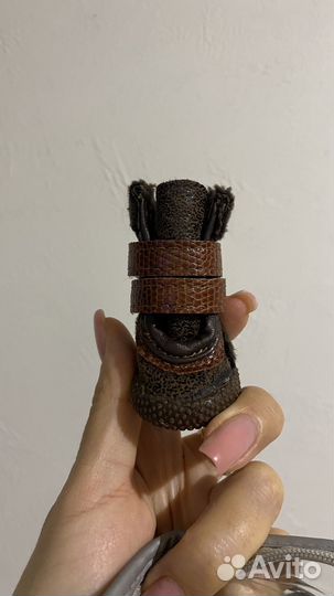 Обувь для собак мелких пород