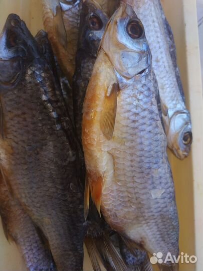 Копчёная,сушёная рыба